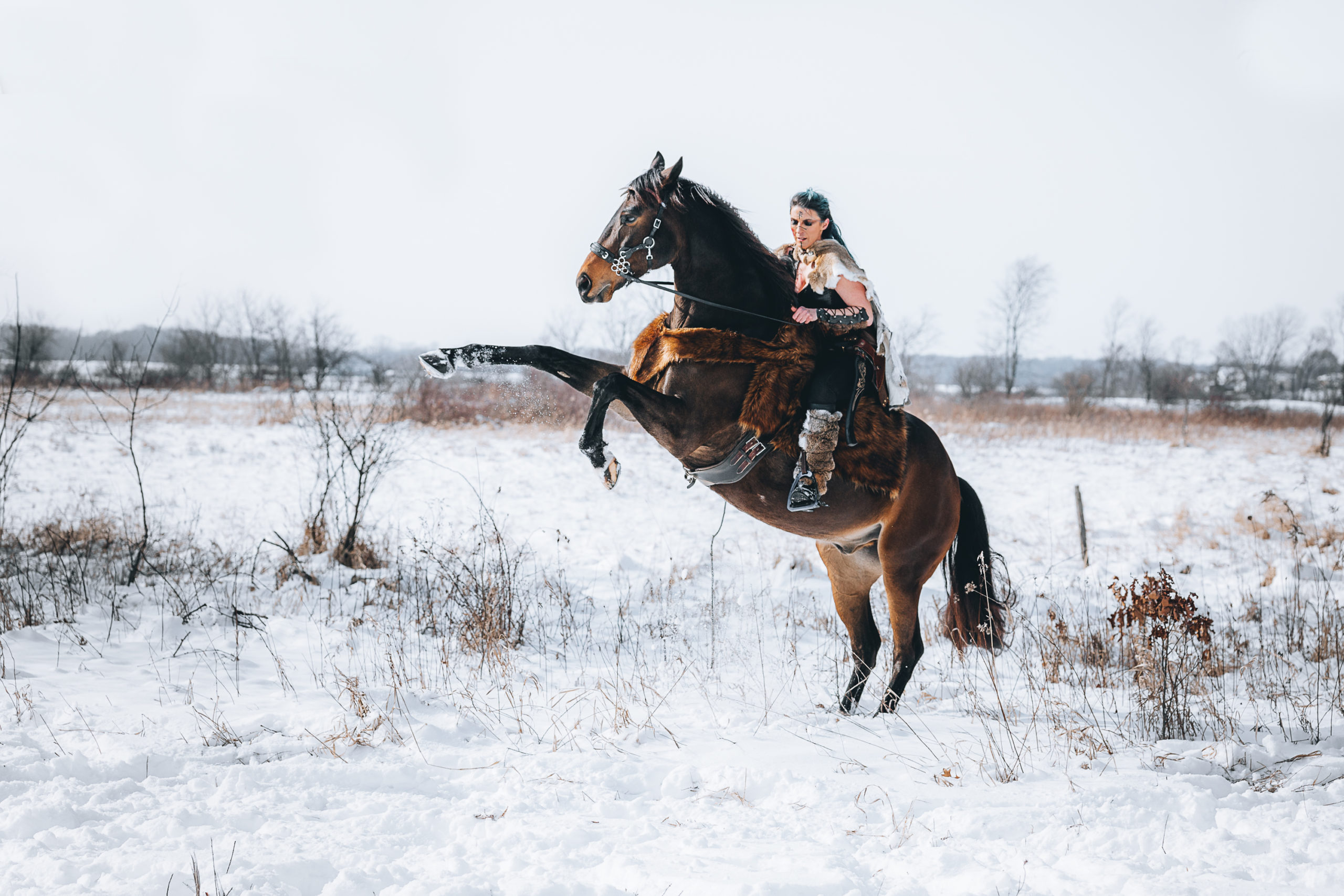 Shannon + Mesa | Horse and Rider Viking Session | Elkhorn, WI