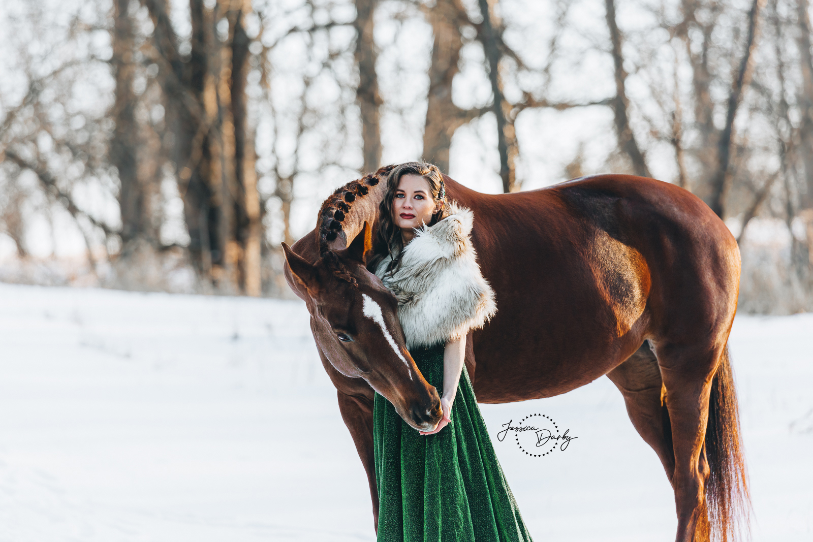 Joanna + Siri | Horse + Rider Portraits | Oconomowoc, WI