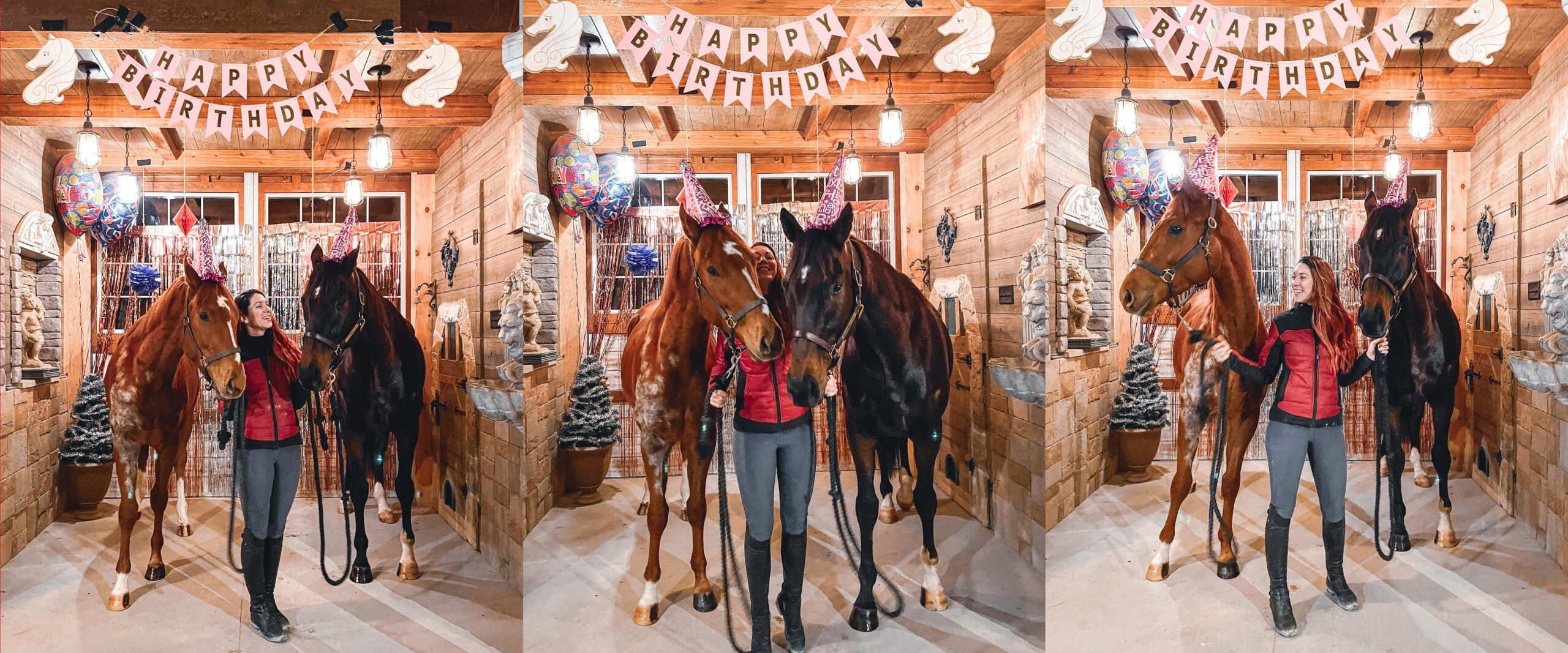 Celebrate my Birthday with ‘Barn Day’ Portraits!