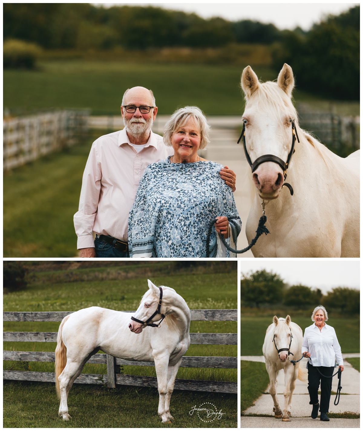 Collage of equestrian and a white horse