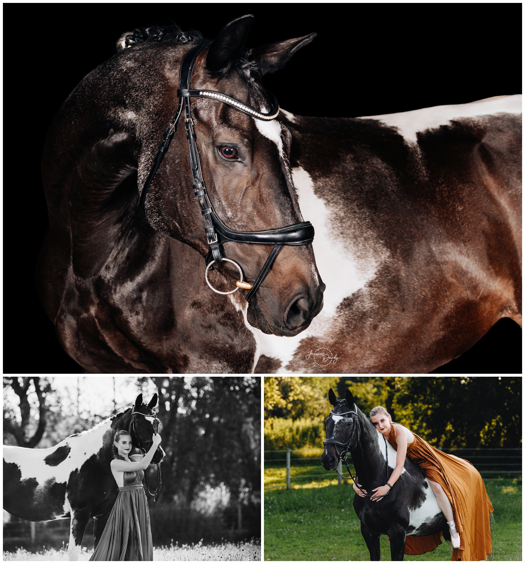 Fine art portrait of Westfalen Warmblood mare Americana S (“Meri”) on a black background, braided with a bling browband. Captured during an equine fine art session at Dressage Solutions in Eagle, Wisconsin by Jessica Darby Photography.