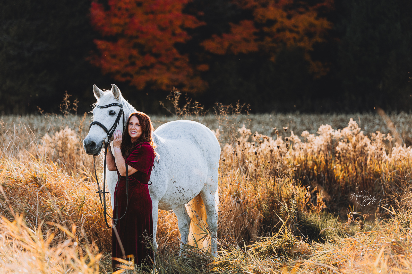Katie + Melosa | Fine Art Black Background and Horse + Rider Portraits | Cato, WI