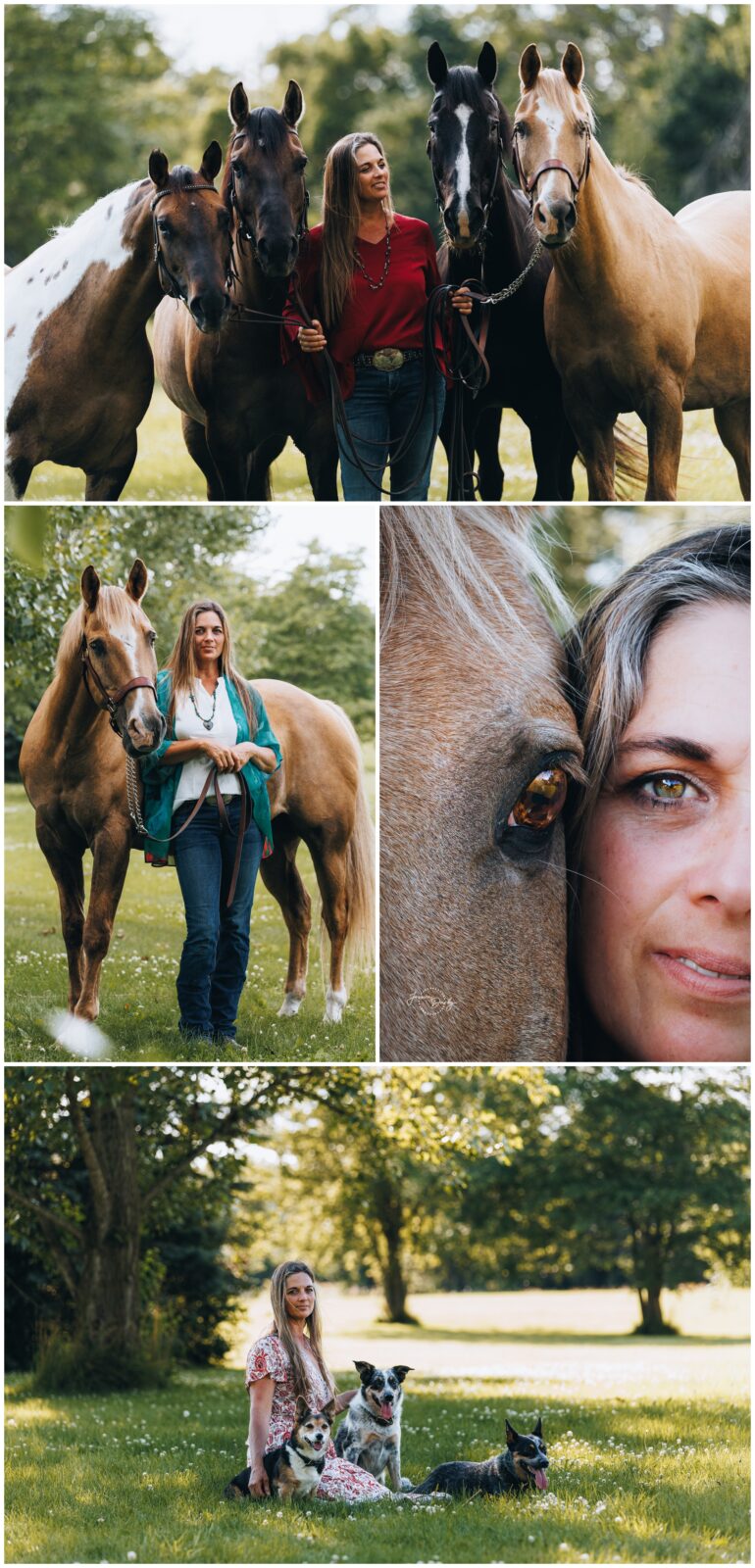 Collage of Dina with her herd at home in Racine, Wisconsin, including a lineup of four horses and close-ups with her palomino Quarter Horse Dese