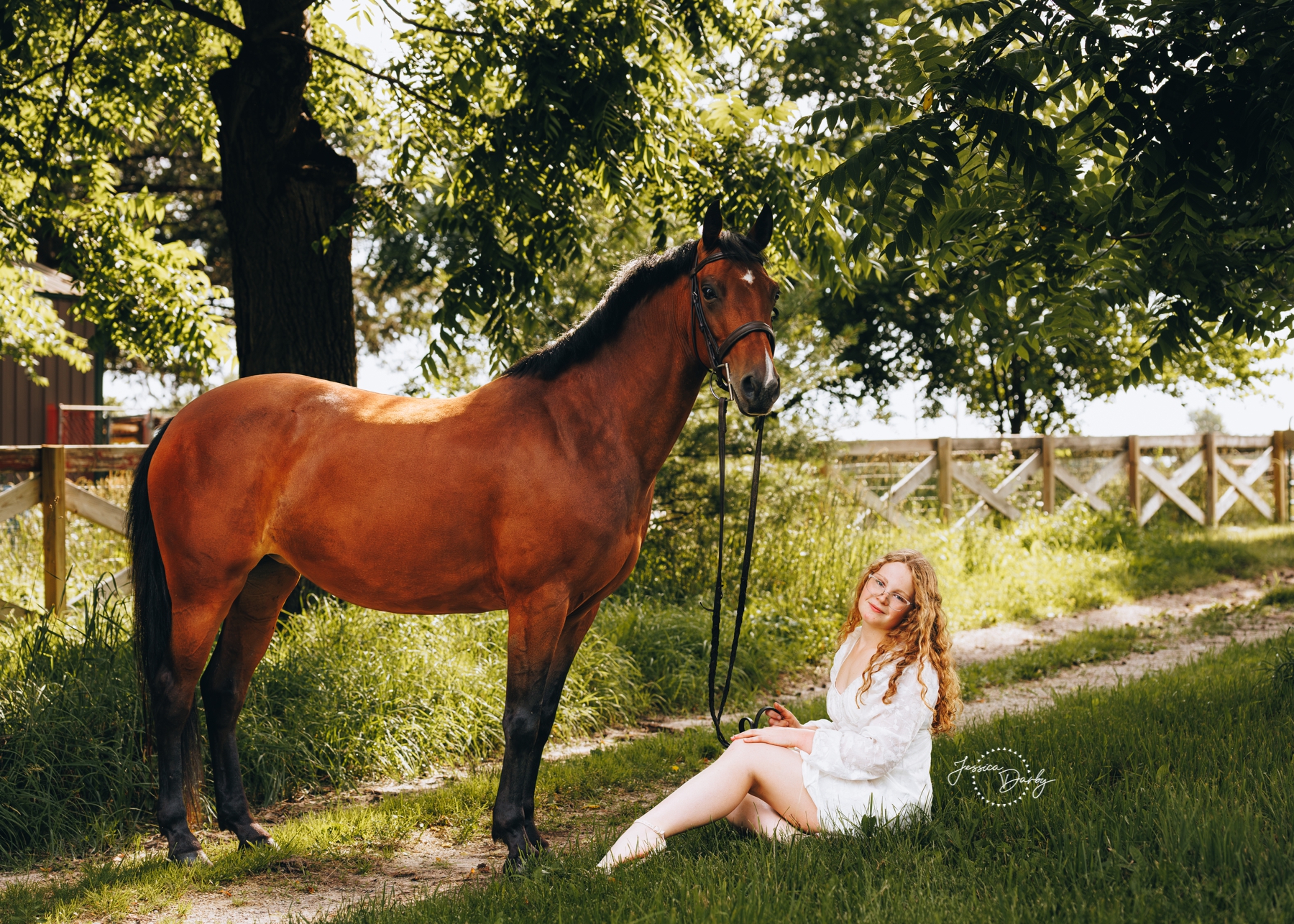 Cecelia + Aster | Horse + Rider Bond Session | Rein Dance Farm | Cedarburg, WI